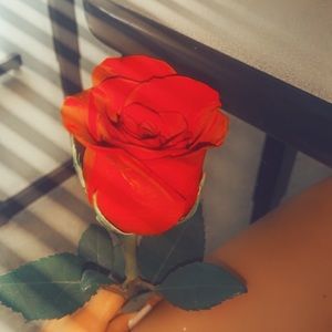 Meet your Posher, Inessa